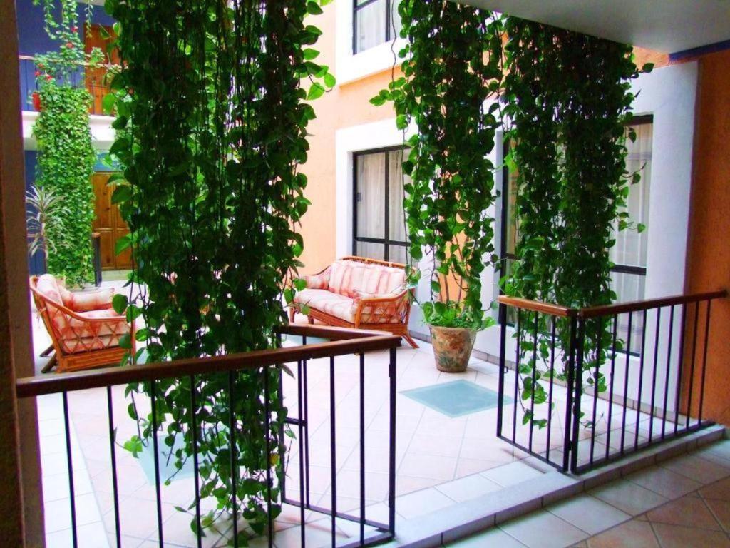 Hotel Oaxaca Dorado Exterior photo